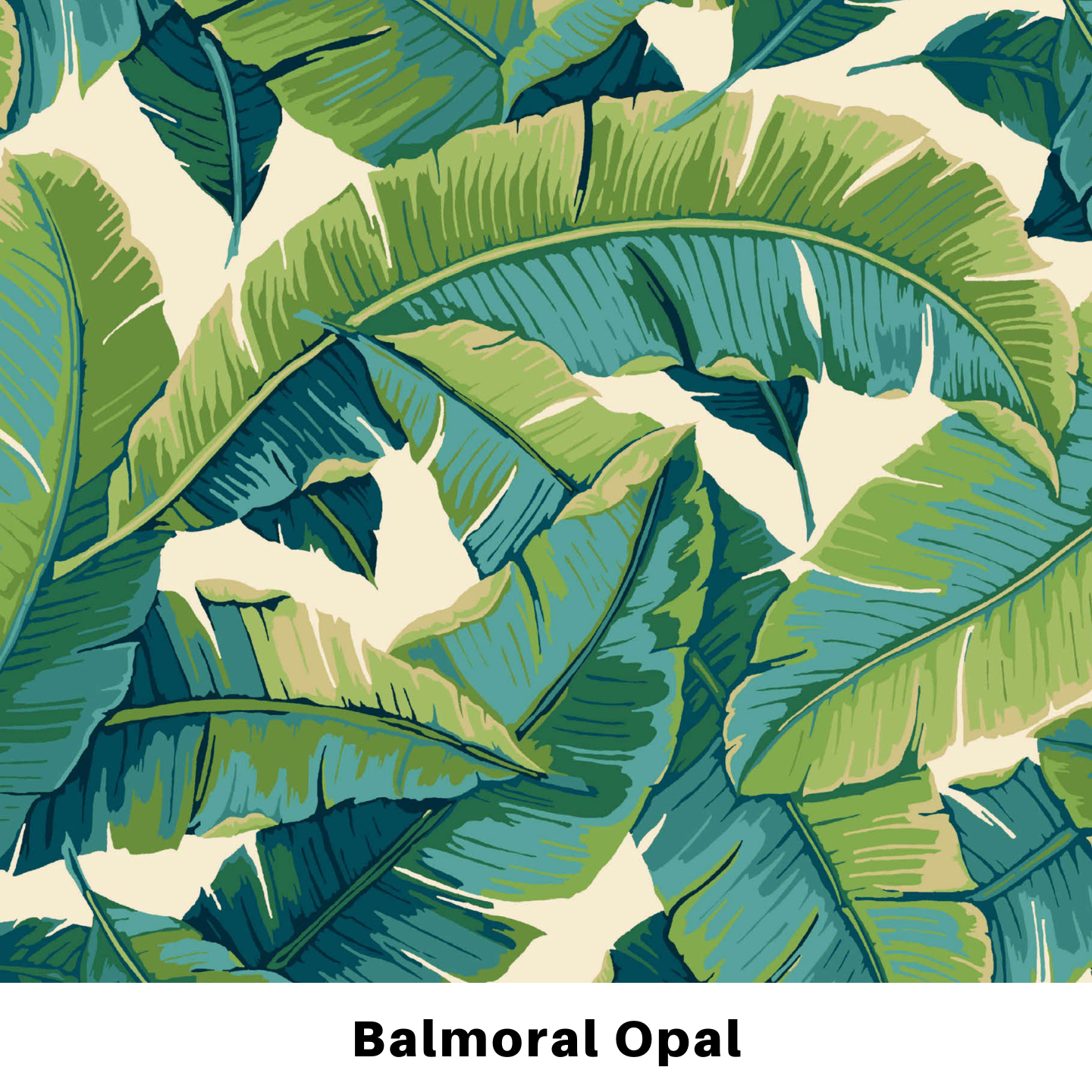 Set of 2 Throw Pillows