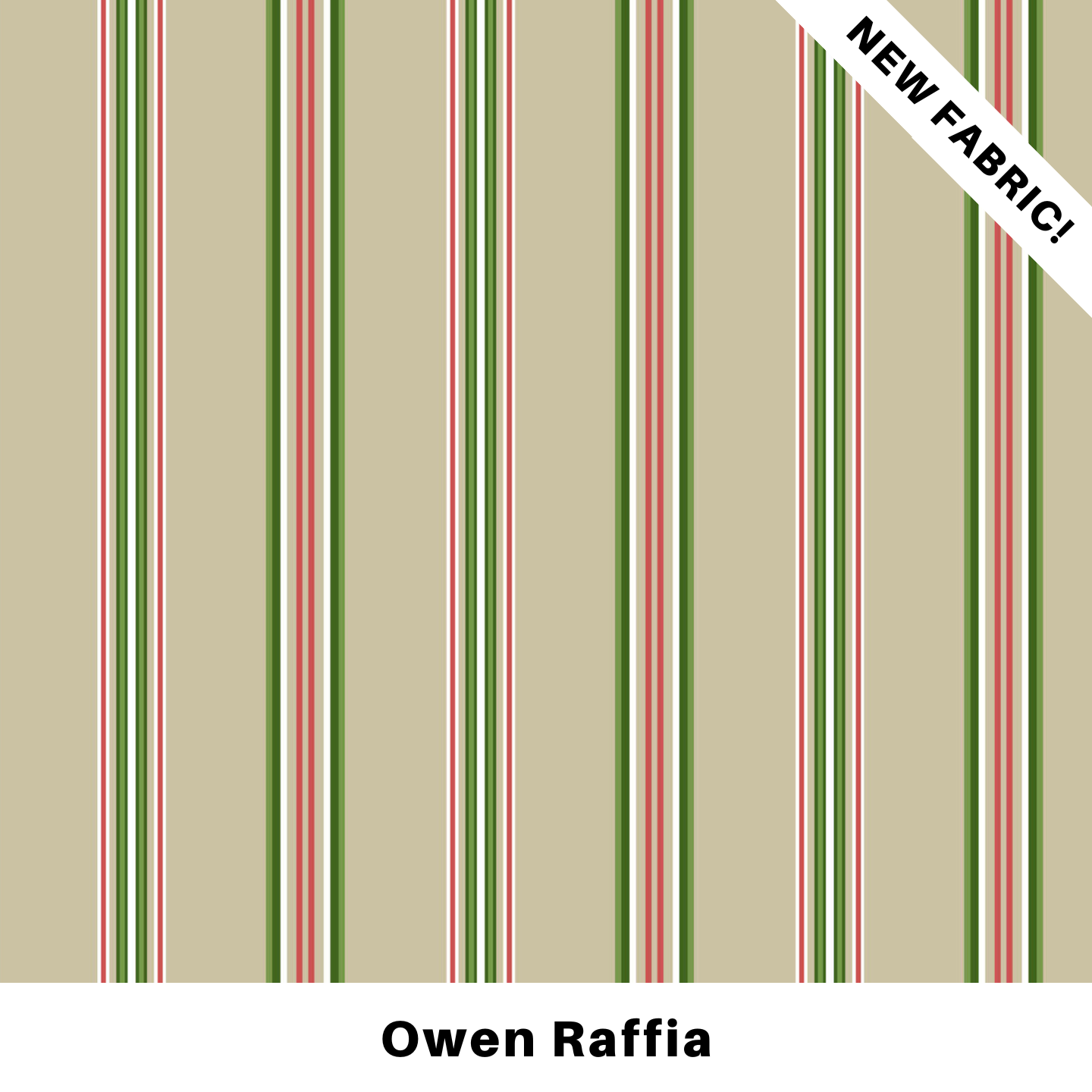 Set of 2 Throw Pillows