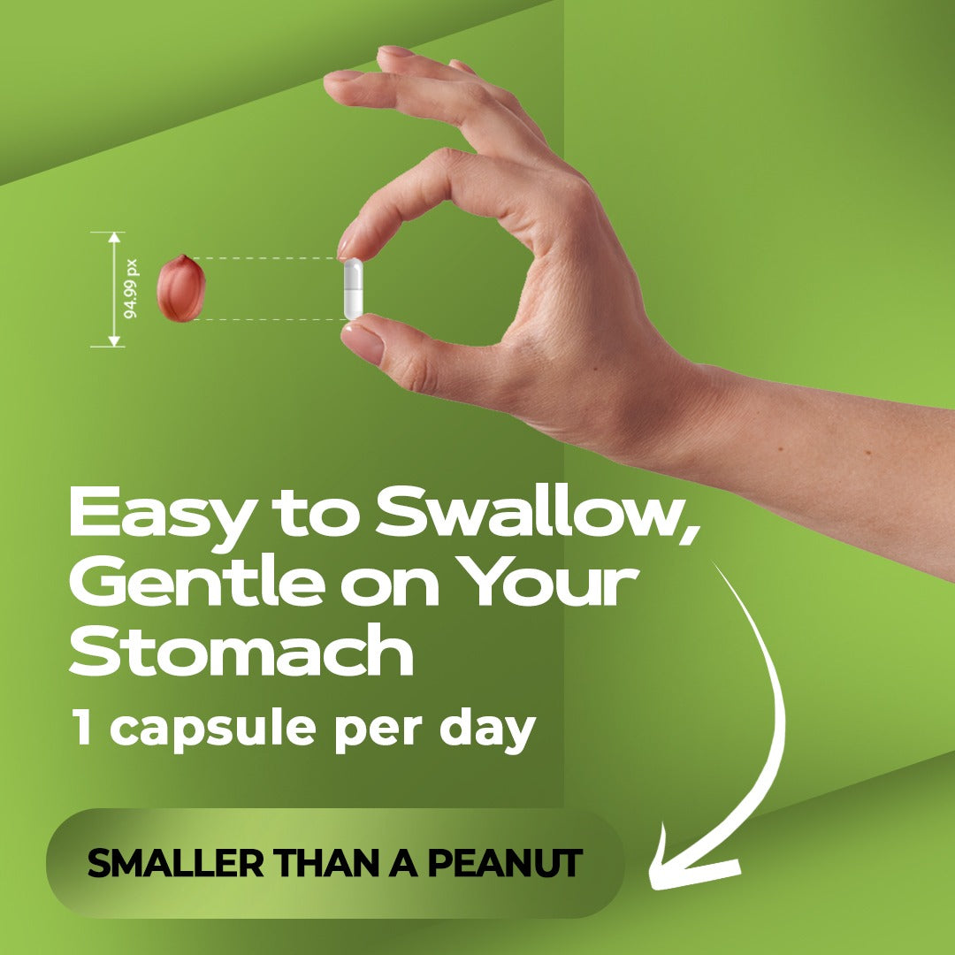 EverVision 14-1 Ultimate Eye Parasite Cleanser